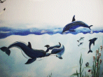 Dolphin bedroom mural